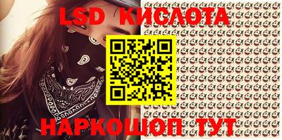 2c-b Кингисепп