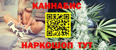 2c-b Кингисепп