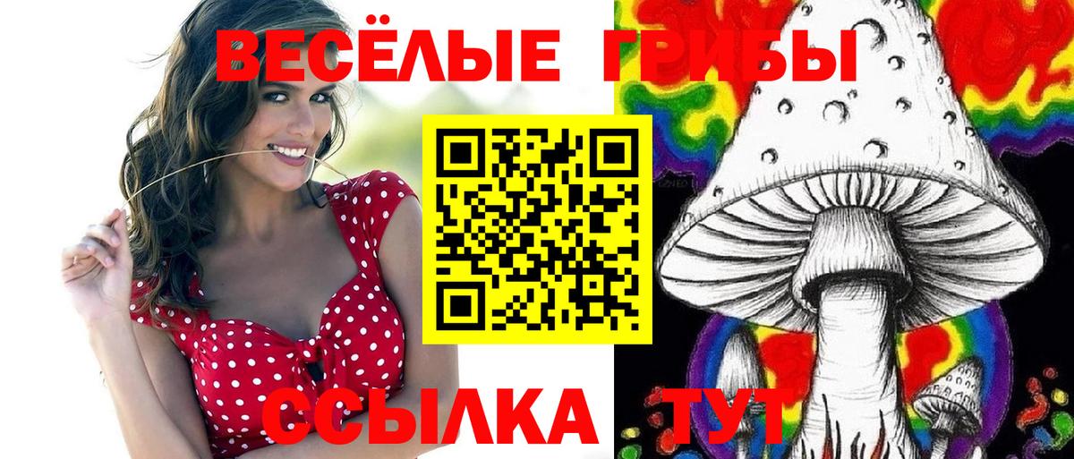 Псилоцибиновые грибы Cubensis  Вход с VPN  Всеволожск 