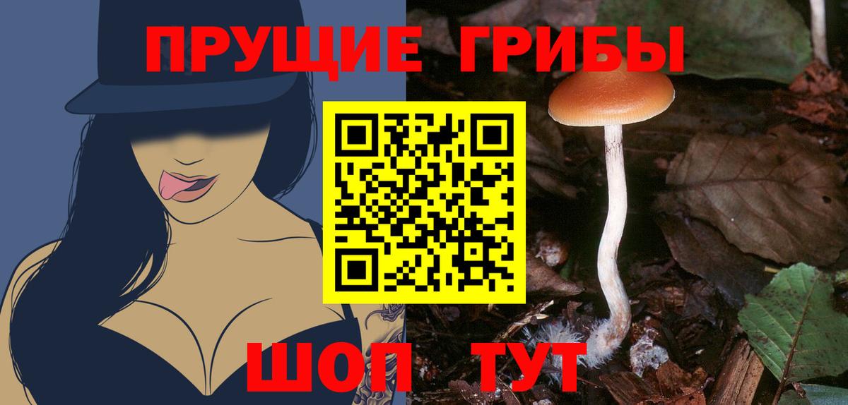 Галлюциногенные грибы ЛСД Всеволожск