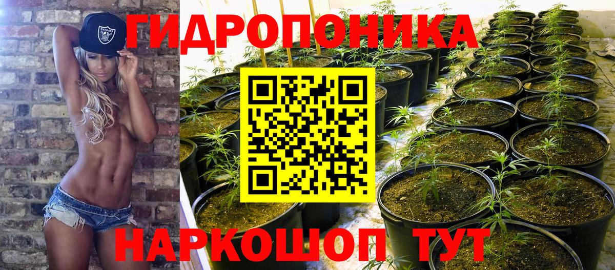 Конопля семена  Бошки Шишки тримм  Всеволожск  Шишки марихуана индика  Вход с VPN  Марихуана SATIVA & INDICA 